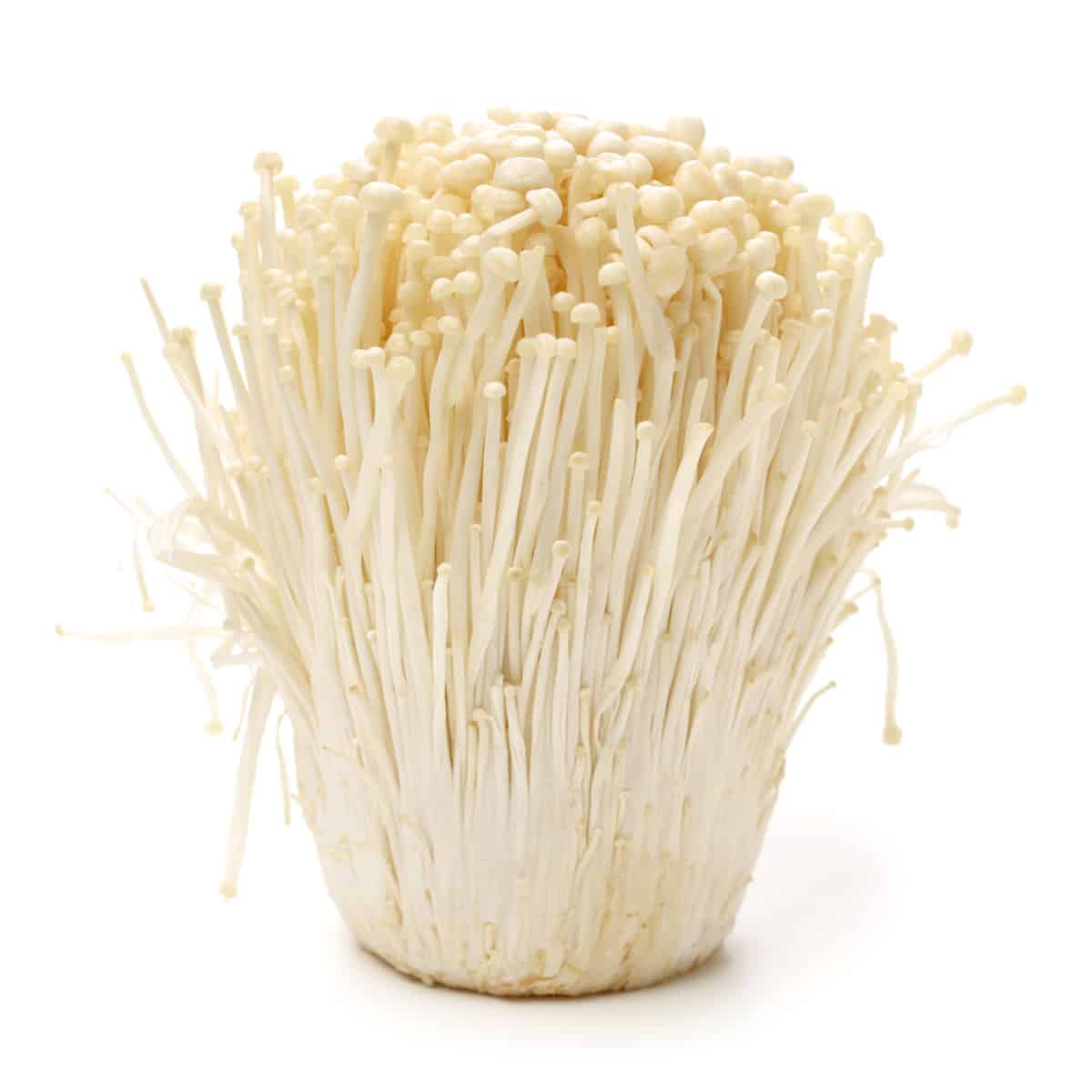 Enoki Mushrooms