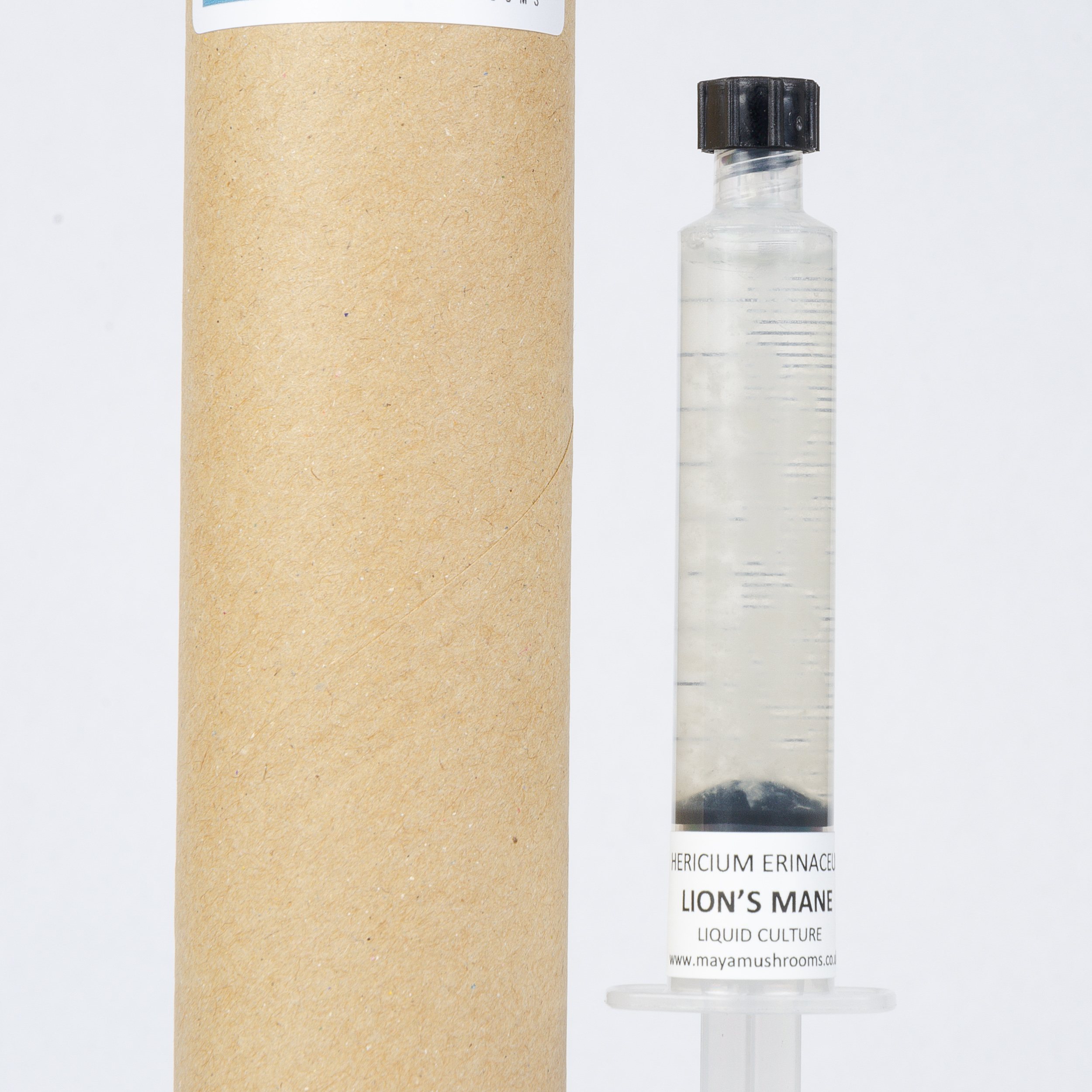 Liquid Culture in Syringe for Mushroom Cultivation, Closeup with Packaging Tube
