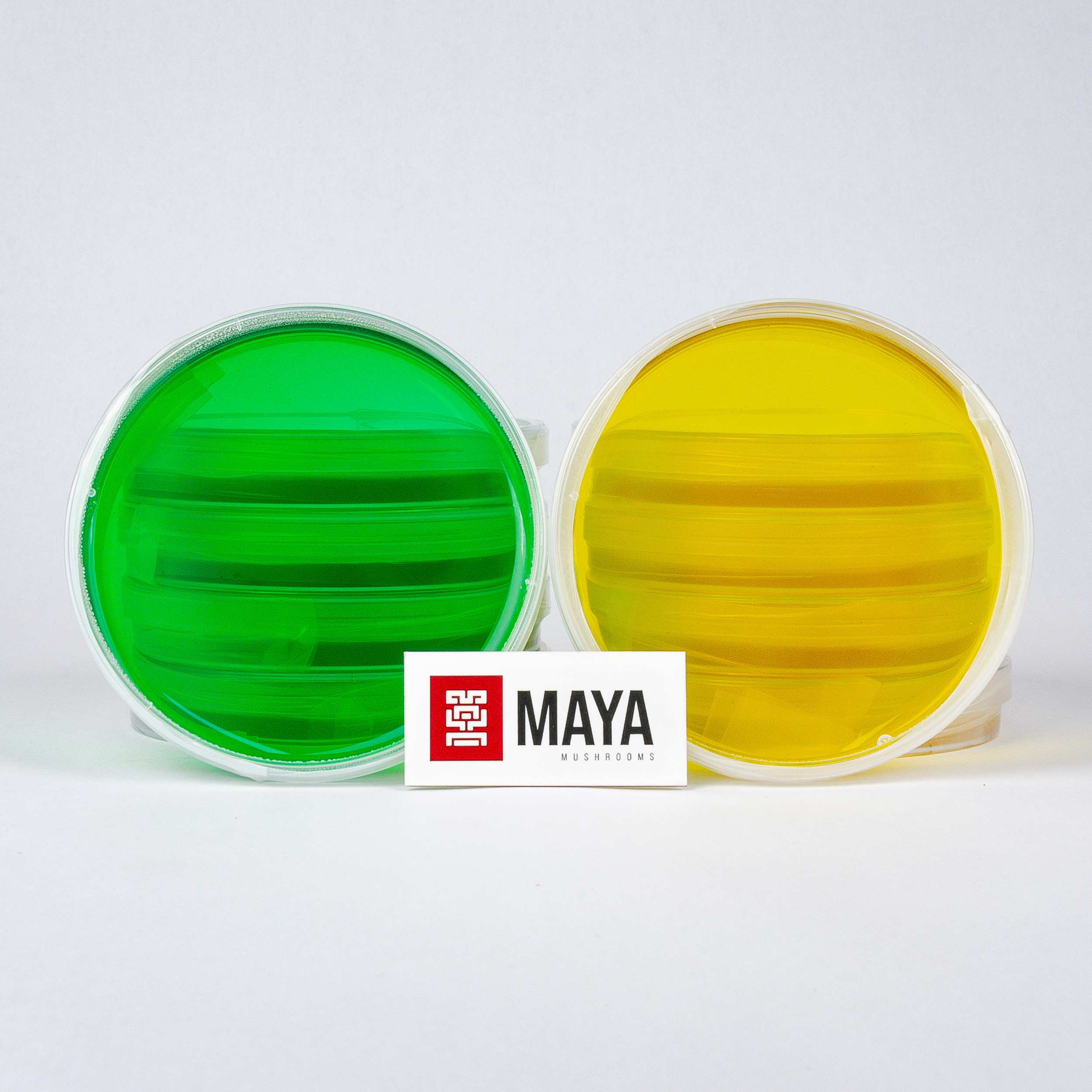 Agar Plates Individually Wrapped Green and Yellow - in front of stack, front facing