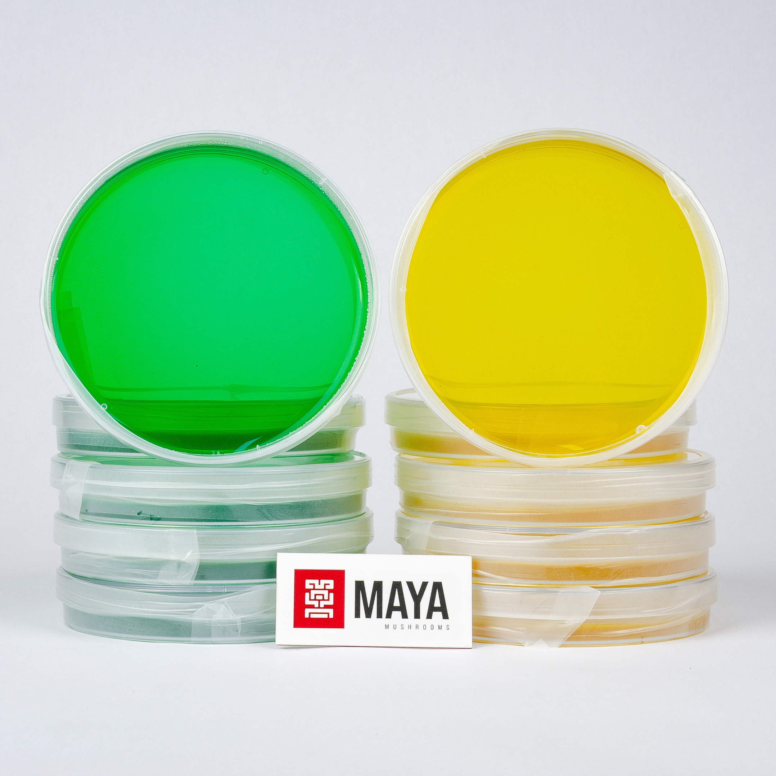 Agar Plates Individually Wrapped Green and Yellow - on top of stack, front facing