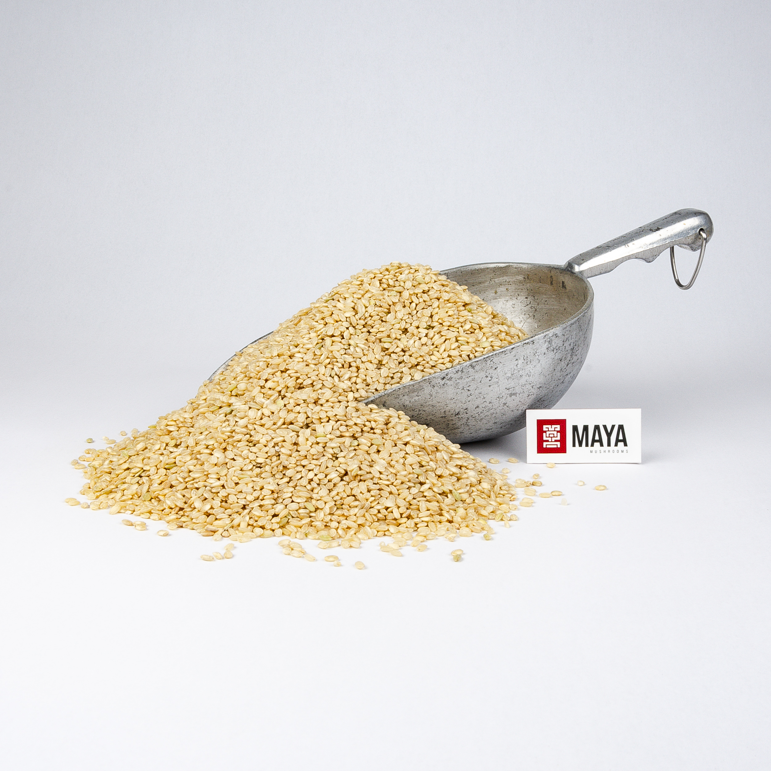 Organic Short Grain Brown Rice scoop